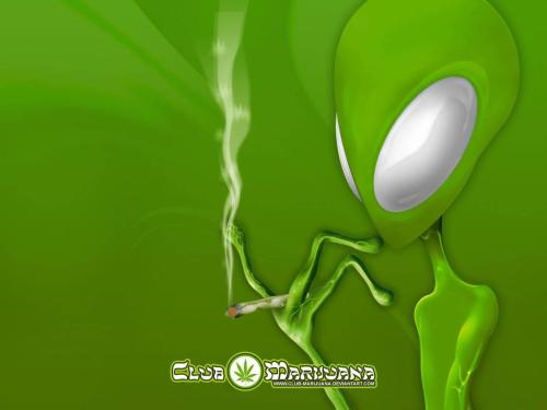 Alneens2l