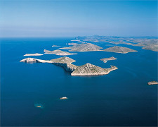 wcgrutto