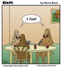 totalfish