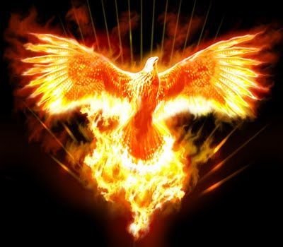 PhoenixPhreak