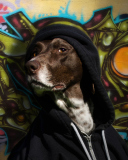 DOGGYLA
