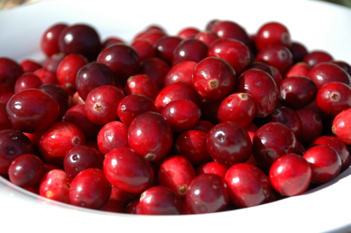 1Cranberries1