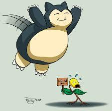 dynAAmoo