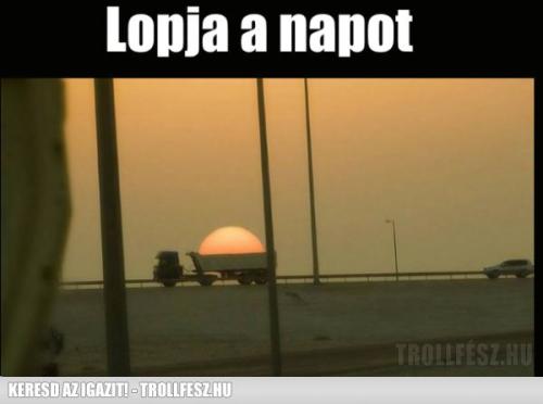 naplopo