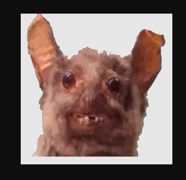 Woypoker