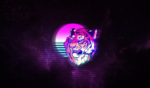 dmchast77
