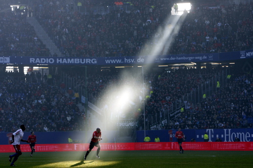 Kingsurprise