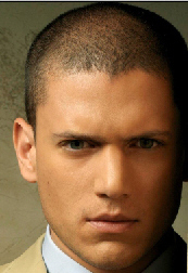pitbul19