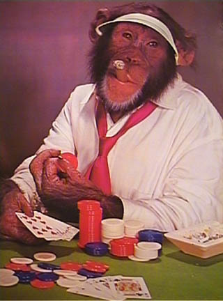 HBPokerdude