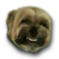 MatzeSpeed
