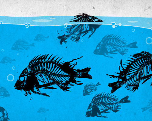 UndeadFishbone