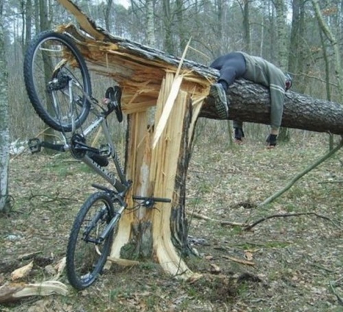 Baumknutscha