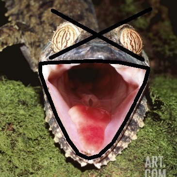 necroHolio