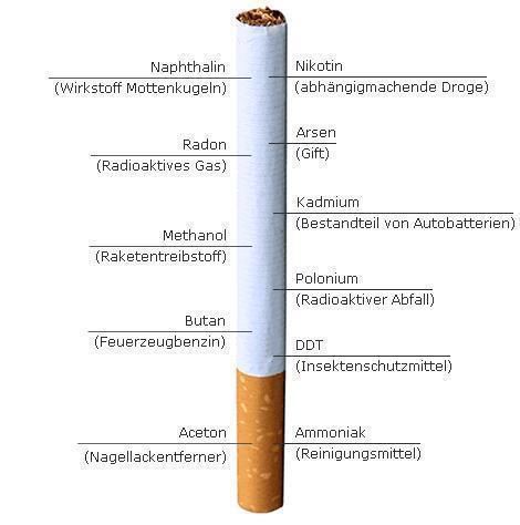 klitschkos