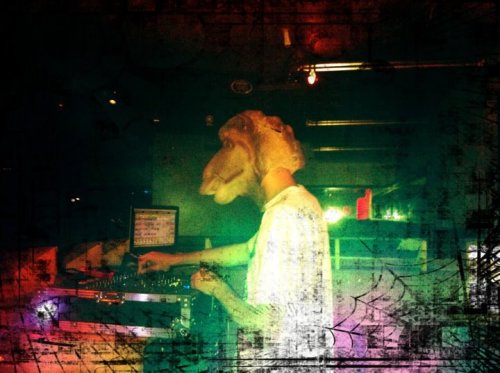 cameljokey