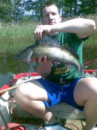SuptrasKasi