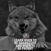 wolf1983