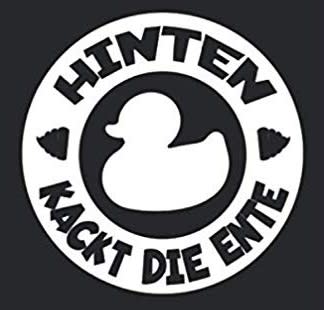 Instashove