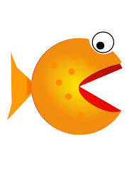 SharksNica