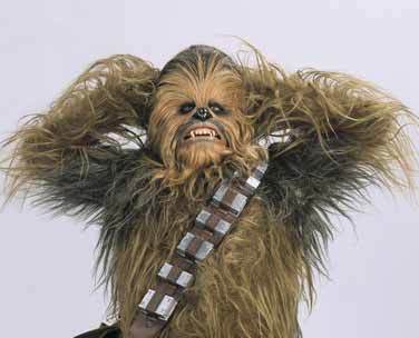 Chewbaccak