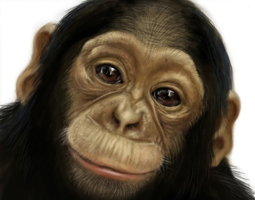 Djika
