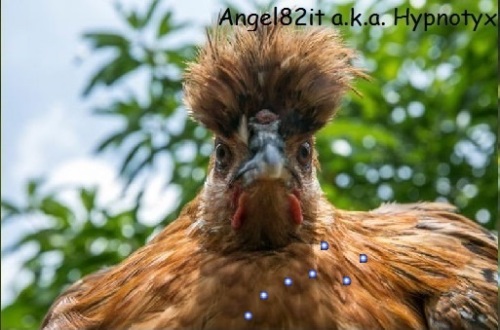 Angel82it