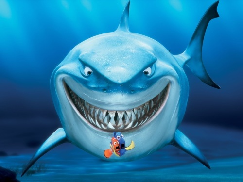 BrunoTheShark