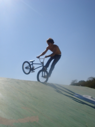 BmxALLin