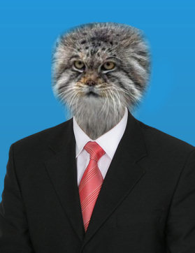 Vitxmel