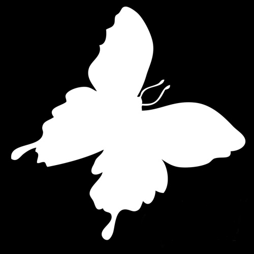 NKdark