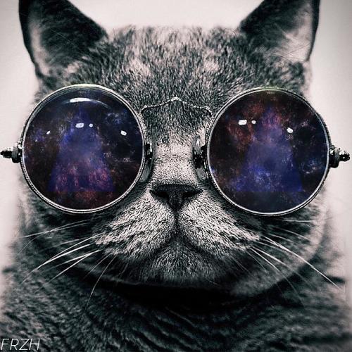 KILLERCAT
