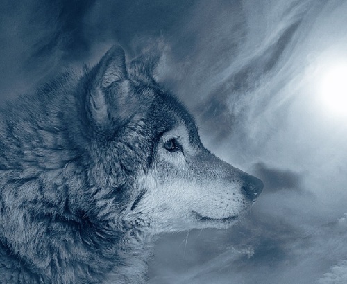 Ulfur