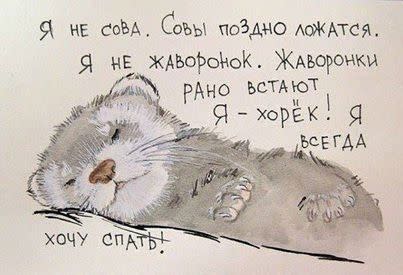 oldbashkir