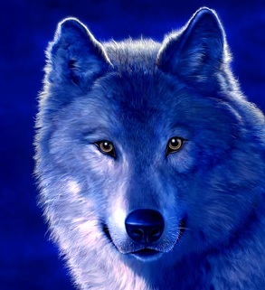 BlueWolf01